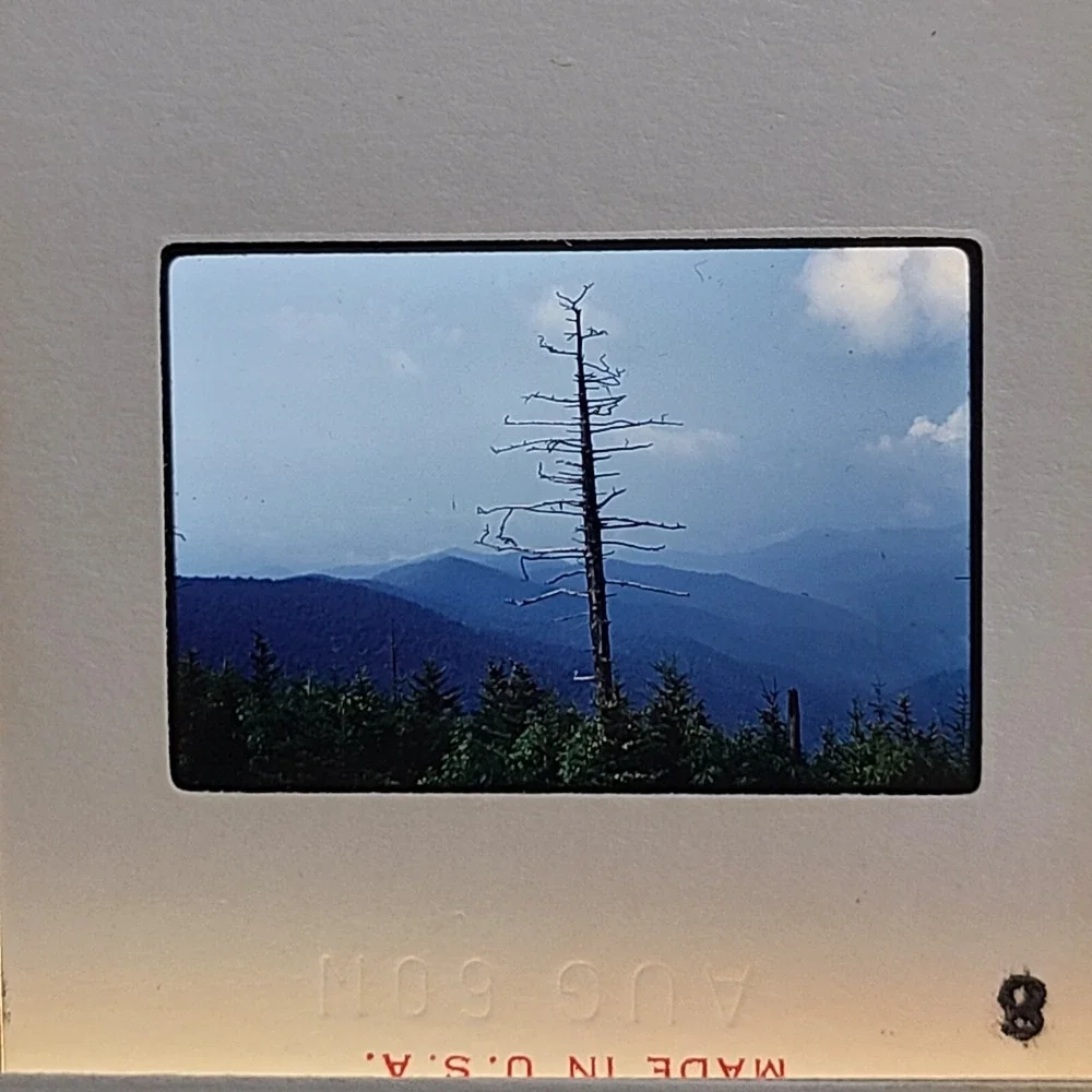 Lot of 30 Slides Smokey Mountains‎ Tourist Scenery Photos 1960 1975